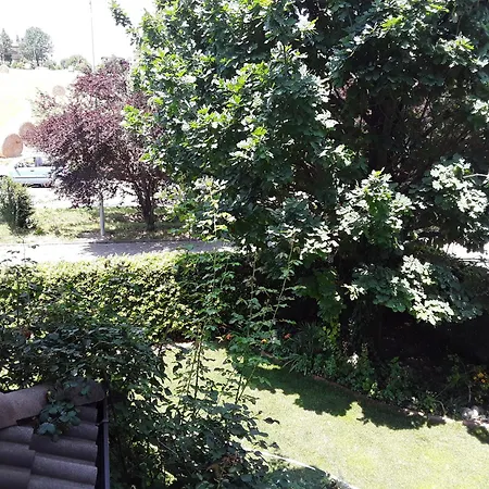 B&B La Rosa Gialla-3